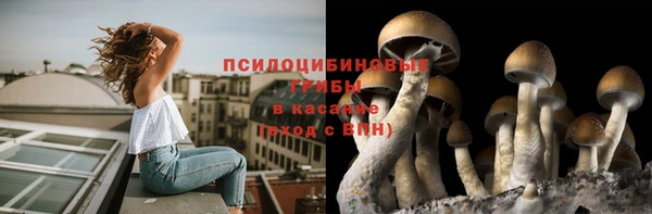 трава Володарск