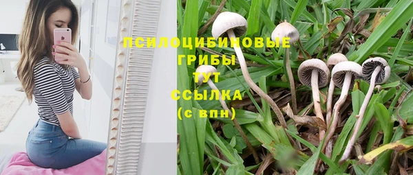 a pvp Волосово