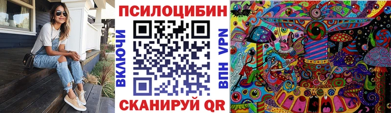 сколько стоит  Славянск-на-Кубани  Галлюциногенные грибы мицелий 